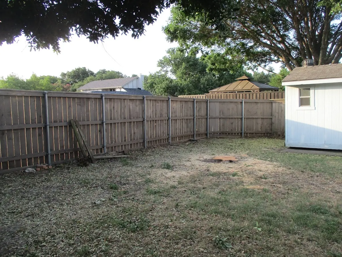 Cleared yard after professional tree removal in Fittstown