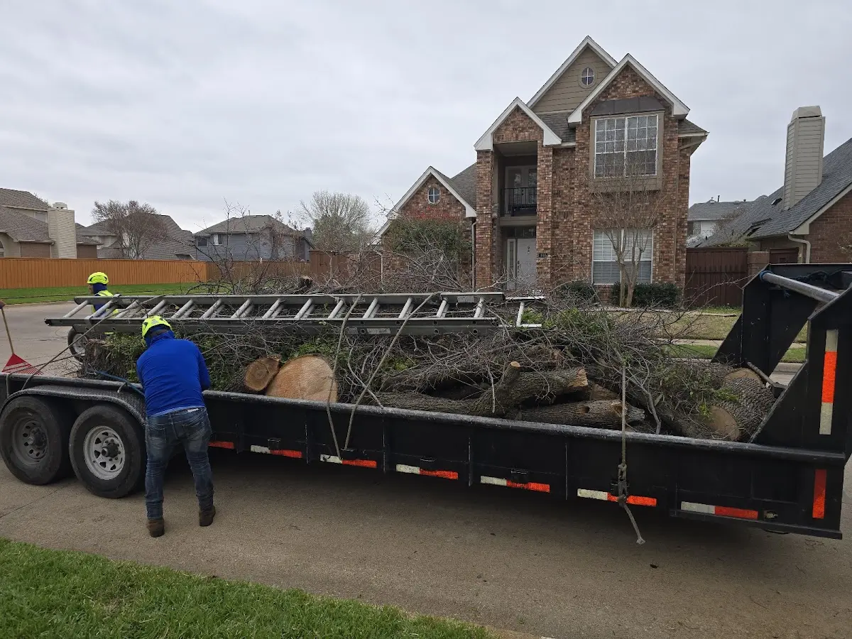 Expert Tree Removal with proper safety equipment in Fittstown